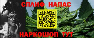 спиды Обь
