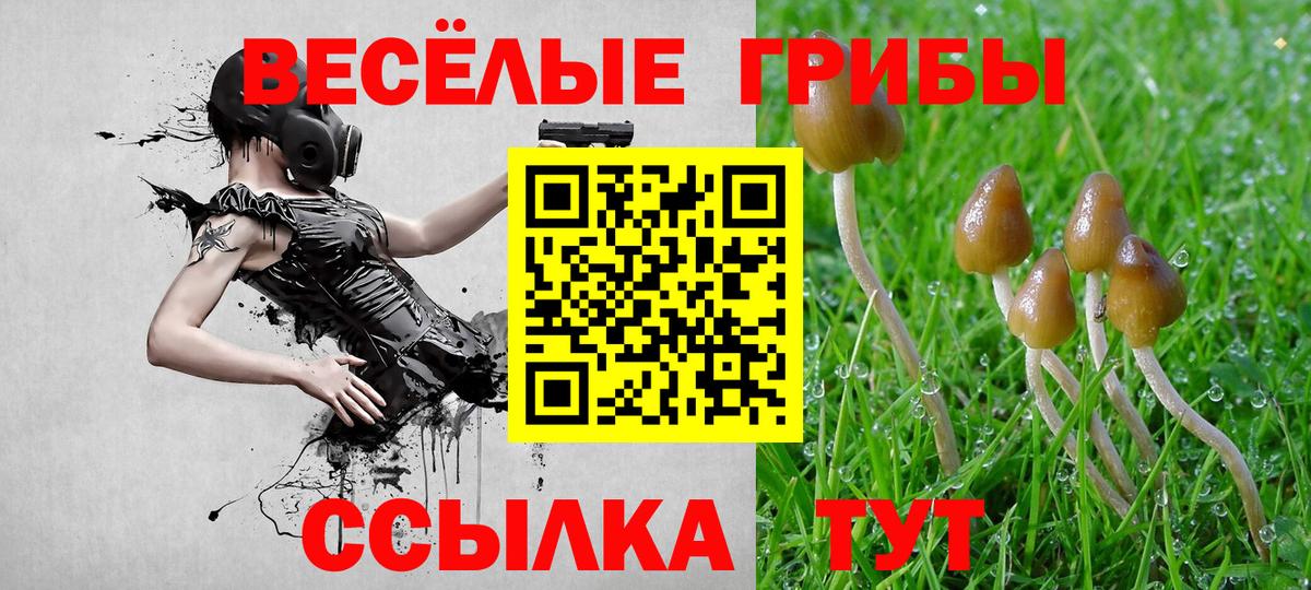 Галлюциногенные грибы GOLDEN TEACHER  Псилоцибиновые грибы MAGIC MUSHROOMS  Вход с VPN  Александров 