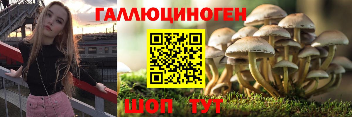 Галлюциногенные грибы Magic Shrooms Александров